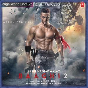 Baaghi 2 (2018) Poster