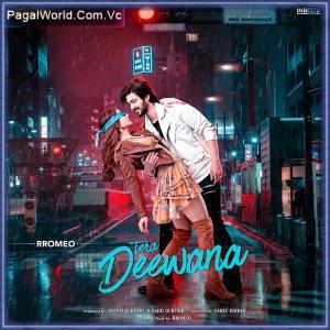 Deewana Poster