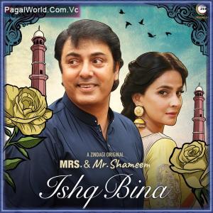 Ishq Bina Poster