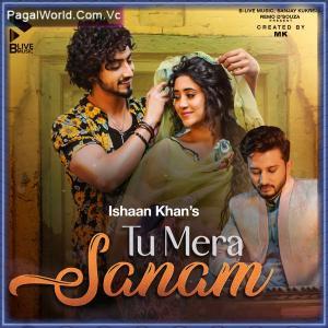 Tu Mera Sanam Poster