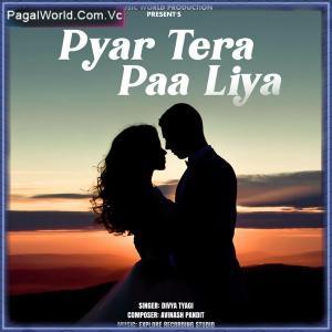 Pyar Tera Paa Liya Poster