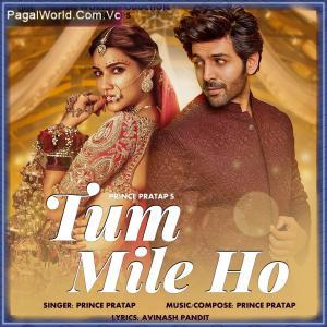 Tum Mile Ho Poster