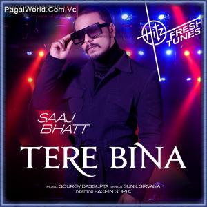 Tere Bina - Saaj Bhatt Poster