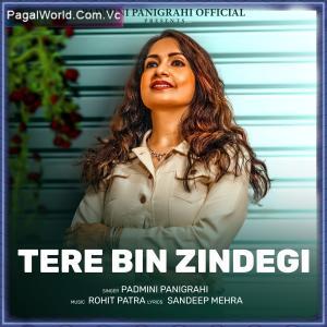 Tere Bin Zindagi - Padmini Panigrahi Poster