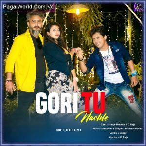 Gori Tu Nachle Poster