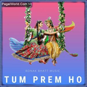 Tum Prem Ho Radhe Poster