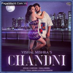 Chandni Poster