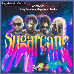 Sugarcane (Remix) Poster