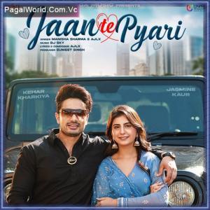Jaan Te Pyari Poster