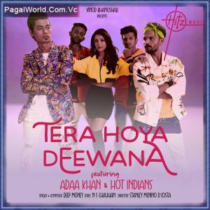 Tera Hoya Deewana Poster