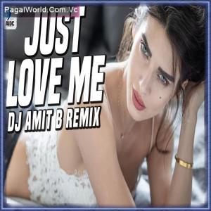 Just Love Me (No Entry) - DJ Amit B Remix Poster