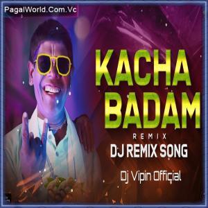 Kacha Badam Dj Remix Poster