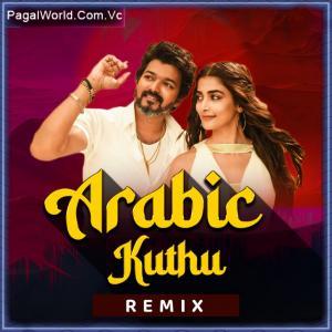 Arabic Kuthu Remix - Banjo Mix Poster