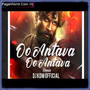 Oo Antava - Remix Poster