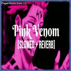 Pink Venom - Slowed Reverb Poster