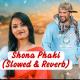 Shona Phaki - Slowed and Reverb Poster
