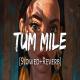 Tum Mile - Slowed and Reverb Poster
