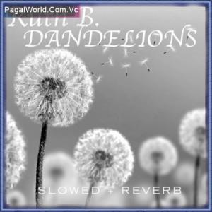 Dandelions - Slowed Reverb Poster