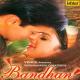 Ye Bandhan Dilo Ke Bandhan Poster