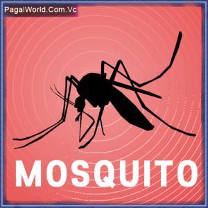 Mosquito Sound Poster