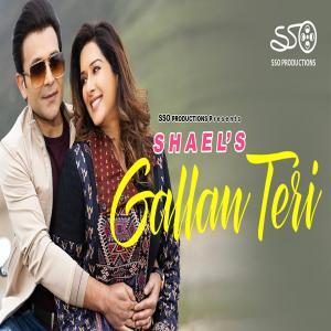 Gallan Teri Poster