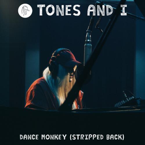 Dance Monkey Poster