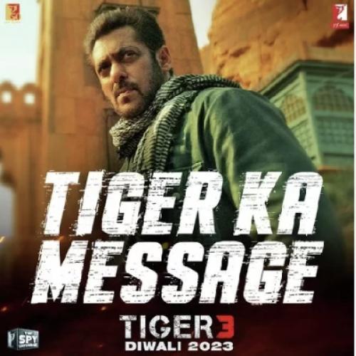 Tiger Ka Message Poster