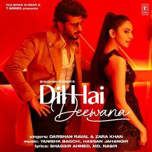 Dil Hai Deewana Poster