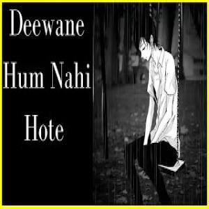 Deewane Hum Nahi Hote Lofi Slowed and Reverb Poster