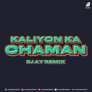 Kaliyon Ka Chaman Remix Poster