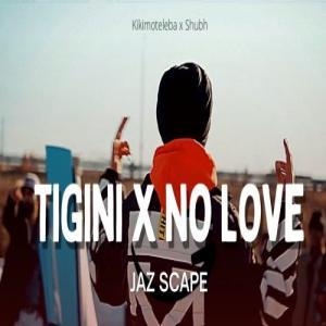 Tigini x No Love Poster