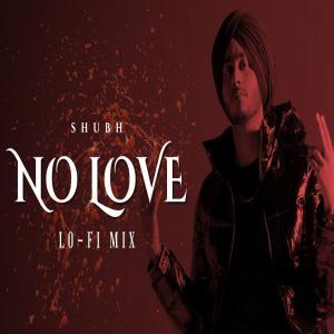 No Love (LoFi Mix) Poster