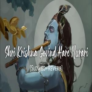 Shri Krishna Govind Hare Murari (Slowed Reverb) Poster
