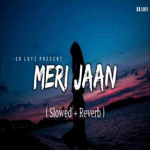 Meri Jaan Lofi Mix (Slowed and Reverb) Poster