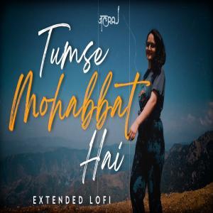 Tumse Mohabbat Hai Lofi Mix (Slowed and Reverb) Poster