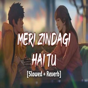 Meri Zindagi Hai Tu (Slowed and Reverb) Lofi Mix Poster