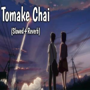 Tomake Chai [Slowed Reverb] Poster