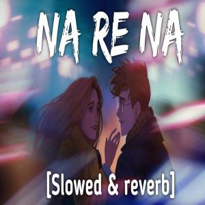 Na Re Na (Slowed Reverb) Poster