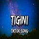 Tigini Titi (Tik Tok) Poster