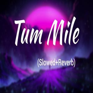 Tum Mile Lofi Mix (Slowed Reverb) Poster
