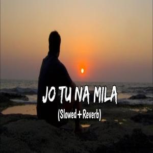 Jo Tu Na Mila (Slowed Reverb) Lofi Mix Poster