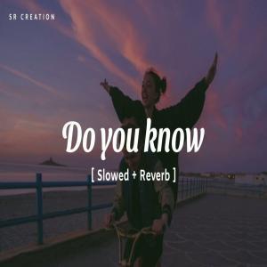 Do You Know (Slowed Reverb) Lofi Mix Poster