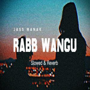 Rabb Wangu (Slowed Reverb) Lofi Mix Poster