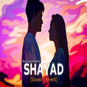 Shayad Lofi Mix (Slowed Reverb) Poster