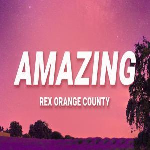 Rex Orange County - Amazing Poster