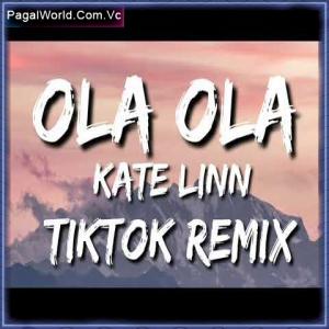Ola Ola Ola Remix Poster