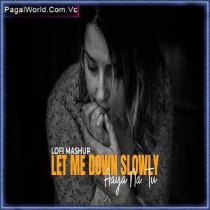 Let Me Down Slowly X Aaya Na Tu Poster