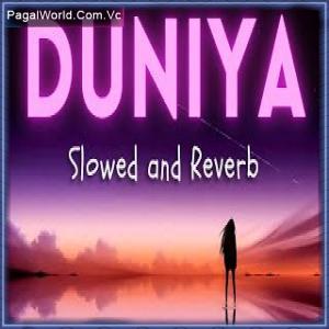 Duniya Lofi Mix (Slowed And Reverb) Poster